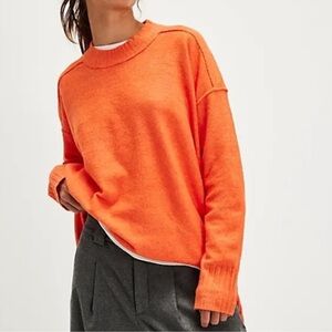 Free People Phoebe Tunic Sweater